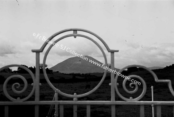 VIEW OF MOUNTAIN THROUGH GATE